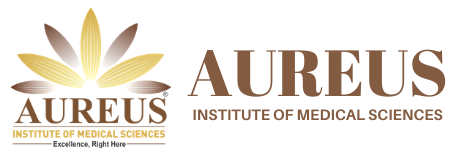 Aureus-Web-Logo-454_156-2